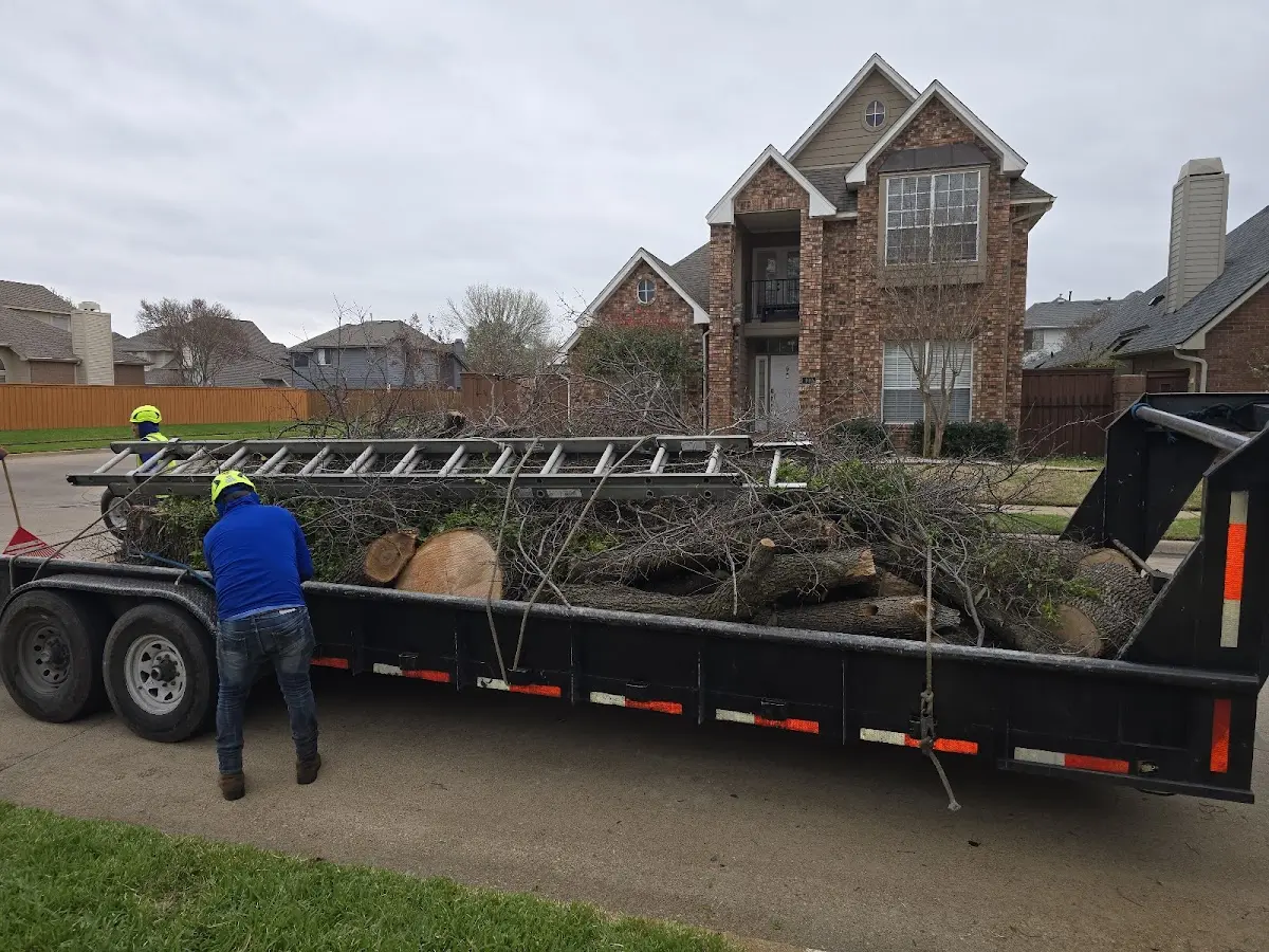 Expert Tree Fertilization with proper safety equipment in Pasadena
